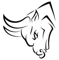 Bull skill